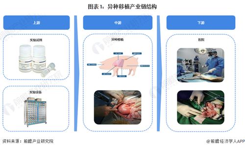 重大里程碑 科學(xué)家首次將豬肝移植到人體，成功過濾血液72小時(shí)，計(jì)算機(jī)軟硬件技術(shù)開發(fā)的關(guān)鍵作用