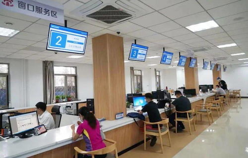 群眾少跑腿 信息多跑路 魯谷街道政務(wù)服務(wù)大廳實(shí)現(xiàn)“一窗受理”計(jì)算機(jī)信息咨詢服務(wù)